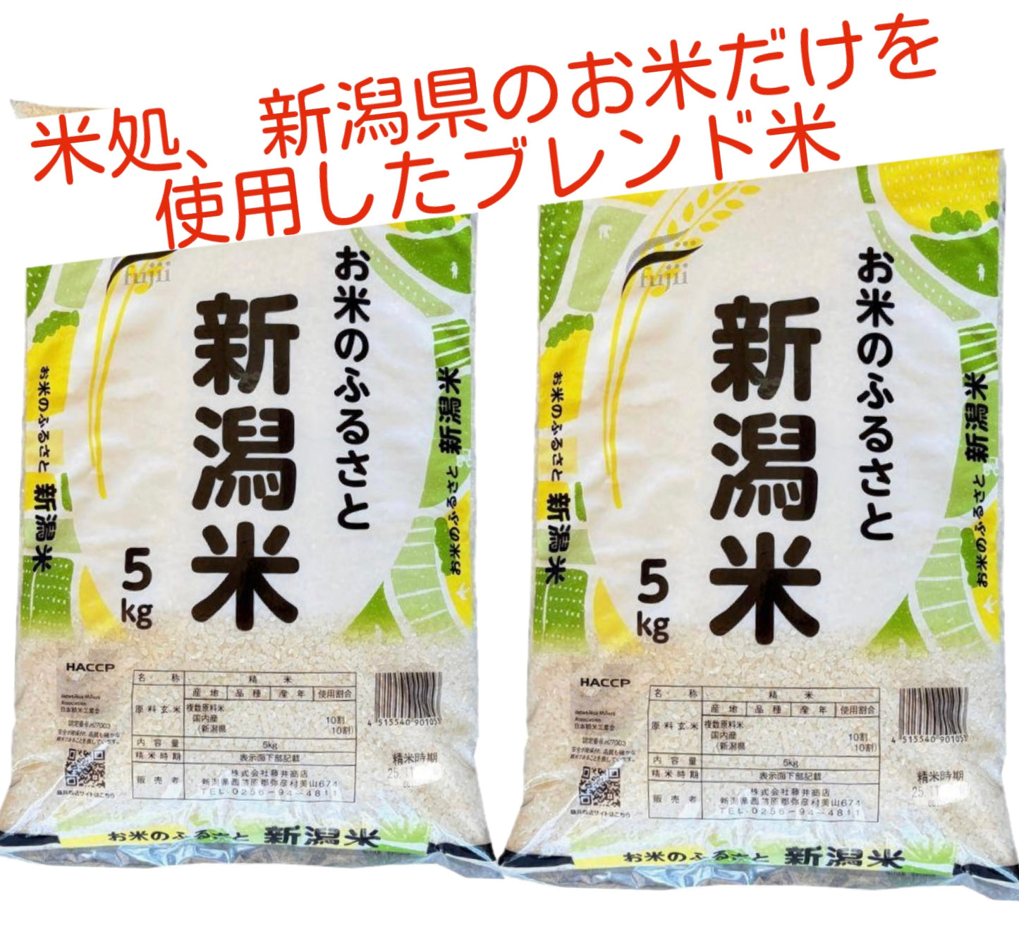 【お米５キロ×２セット】お米のふるさと　新潟県産米　５ｋｇ　２セット　ブレンド米