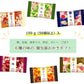 金澤兼六製菓 金澤小町 KMC-15【包装済】菓子折り 御菓子 煎餅 ギフトせんべい おかき 個包装 手土産 お礼 お祝い お返し 内祝 お供え 贈り物