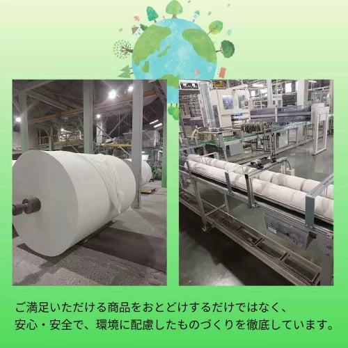【銚子電鉄】しりぬぐい トイレットペーパー 12ロール×2個セット 24ロール 無香料 ダブル 27.5m 電車柄